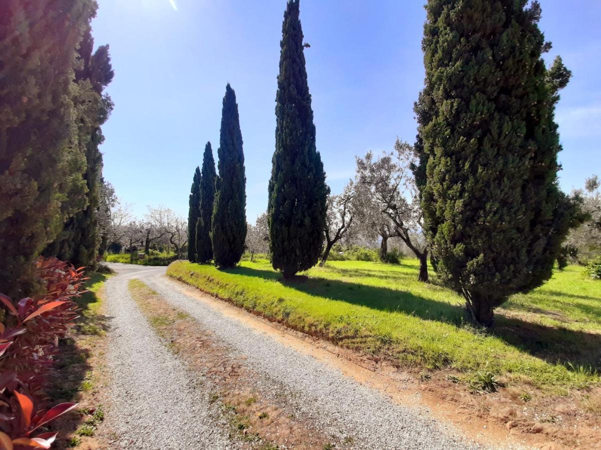 Appartamento Il Palagio Vinci Esterno foto